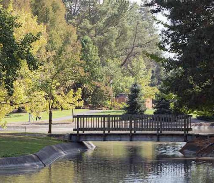 Bridge over pond