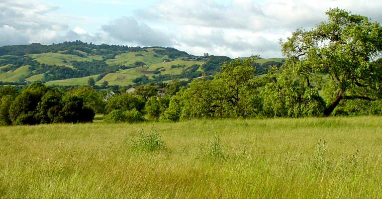 Sonoma mountains