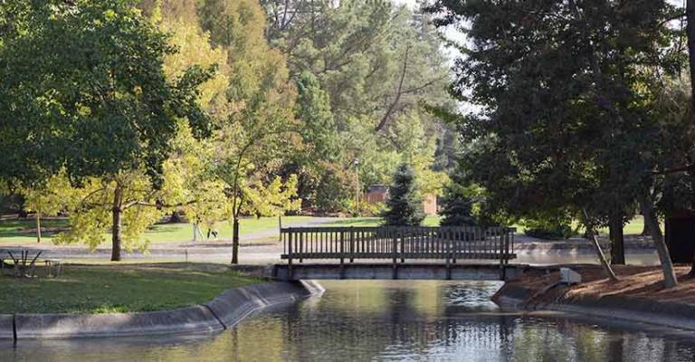 Bridge over pond