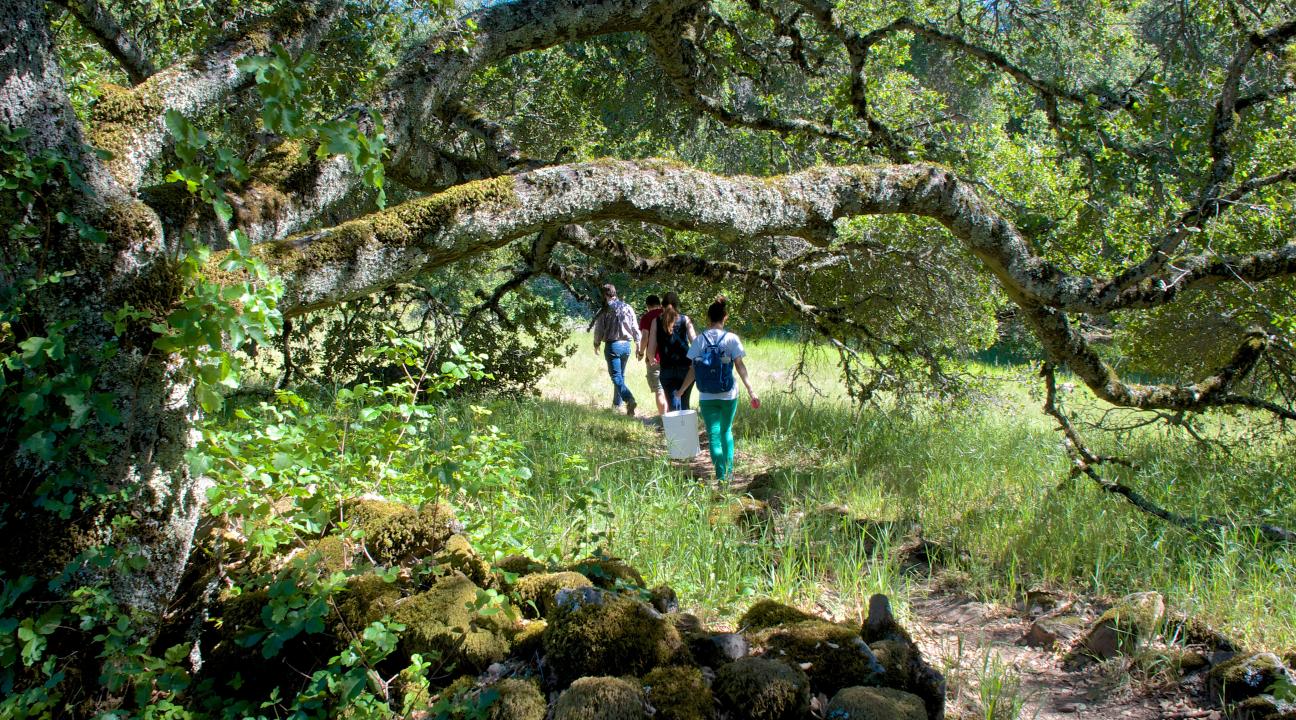 SSU Students Hiking at the Fairfield Osborn Preserve