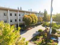 Photo of Sonoma State's Bacon & Eggs art piece, Darwin Hall