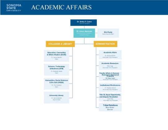 A visual organization chart for the division of Academic Affairs