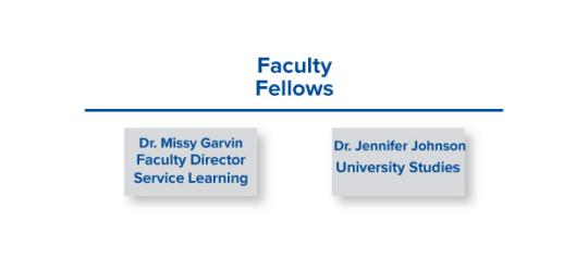 Faculty Fellows for Academic Programs