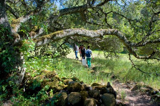 SSU Students Hiking at the Fairfield Osborn Preserve