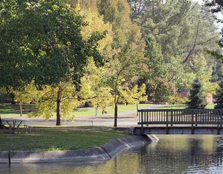 Bridge over pond